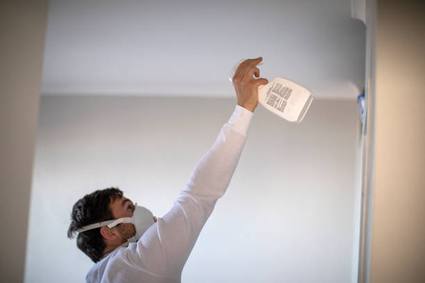 Trusted Troy, TX Mold Removal Experts